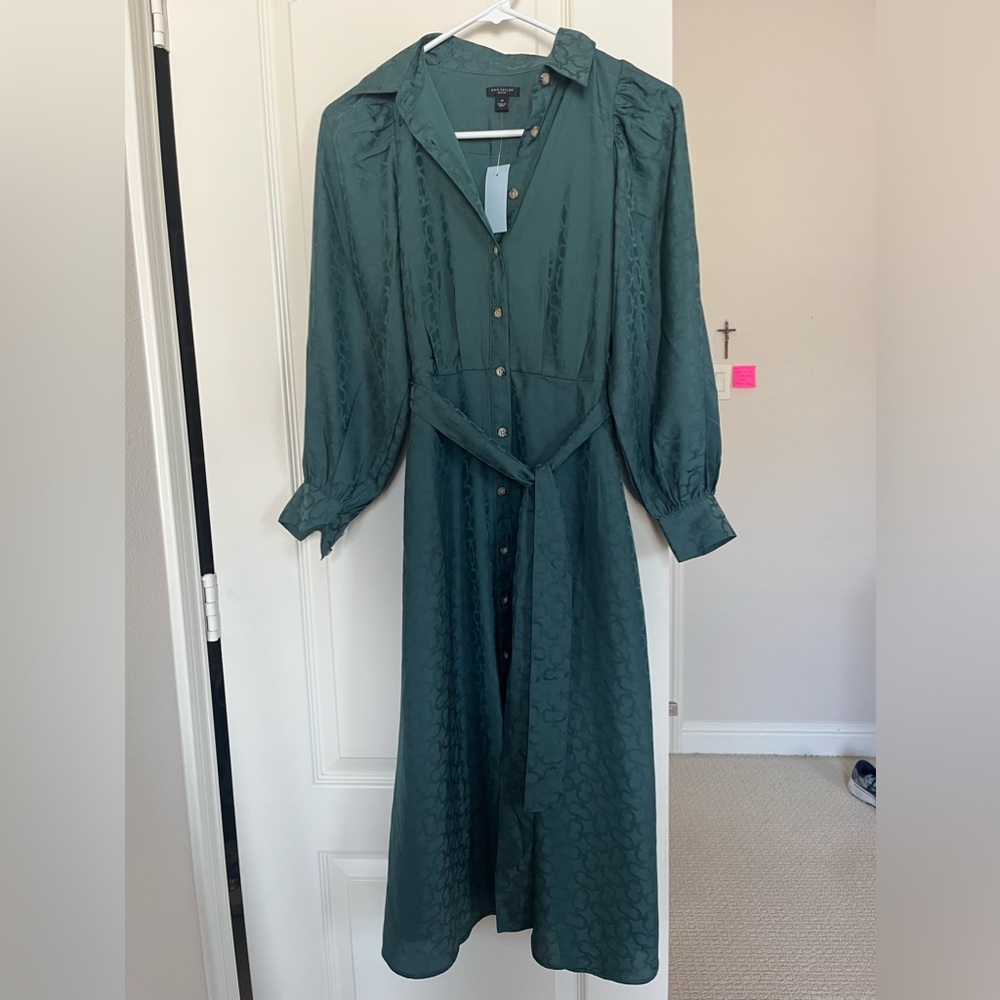 Ann Taylor Green Dress. Size 0P. New with Tag.